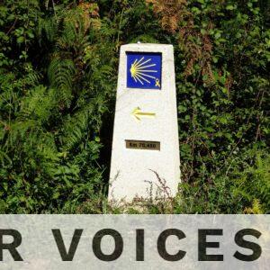 ¿Se puede hacer solo/a el camino de santiago?